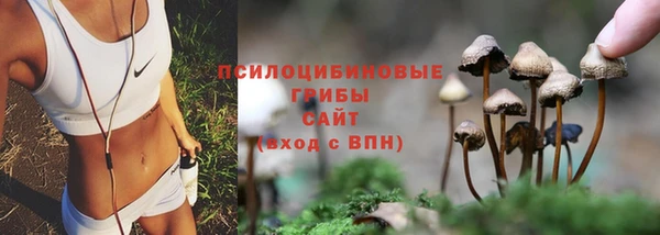 амф Алексеевка