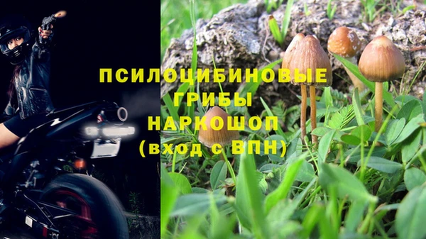 таблы Алзамай