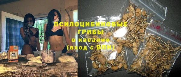 амф Алексеевка